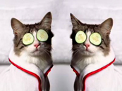 Savings Celebration clip thumbnail